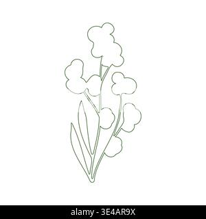 Ein einfaches Blumendesign zeigt einen Pflanzenstiel mit zarten abgerundeten Blüten und zwei langen Blättern. Klare grüne Linien auf einem stark weißen Hintergrund unterstreichen die elegante natürliche Form. Stock Vektor