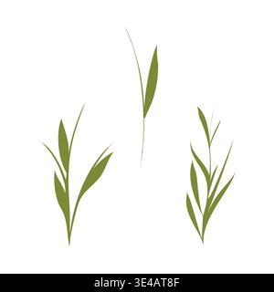 Drei grüne stilisierte Pflanzenstiele mit zarten Blättern stehen aufrecht auf einem sauberen weißen Hintergrund. Diese botanische Illustration zeigt einfaches, elegantes Laub für ein frisches, natürliches Gefühl. Stock Vektor