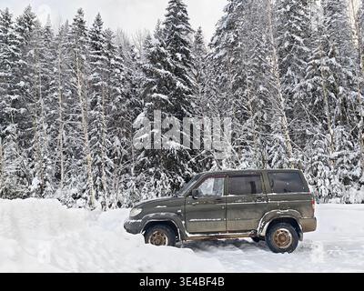 Ein Auto ist gefroren und in der Nähe von hohen Bäumen in einer kalten Winterumgebung mit Schnee bedeckt. Frost ist an den Fenstern sichtbar. Stockfoto
