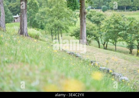 Ein ruhiger Pfad schlängelt sich durch grüne Hänge mit kleinen gelben Blumen, Steinpfad, Bäumen und gemütlichen Hütten in einem friedlichen Park-Rückzugsort. Stockfoto