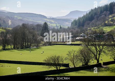 Typische Snowdonia-Landschaft in Nordwales, nahe Dolgellau Stockfoto