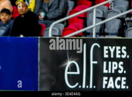 Ein paar Fans in der ersten Reihe bei einem Fußballspiel Stockfoto