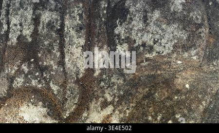 Moosige Wandstruktur Stockfoto