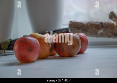 Verrottete Äpfel auf einem Tisch in der Nähe eines Fensters mit weichem Tageslicht. Nahaufnahme mit verdorbenem Obst und natürlichem Verfall. Geeignet für Lebensmittelabfälle Stockfoto
