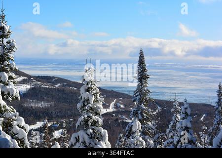 Panoramablick auf die gefrorene Küste und den schneebedeckten Borealen Wald im Winter Stockfoto