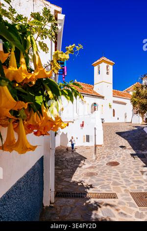 Kirche der Unbefleckten Empfängnis. Parauta, Sierra de Ronda, Málaga, Andalucía, Spanien, Europa Stockfoto