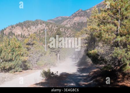 Dynamischer, atmosphärischer Blick auf den Staub, der auf einer abgelegenen, unbefestigten Bergstraße aufsteigt, umgeben von Kiefernwäldern und zerklüftetem Himalaya-Gelände. Das goldene Sonnenlicht il Stockfoto