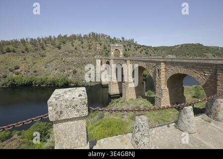 Römische Brücke Puente Romano mit Torre del Oro, über den Fluss Rio Tajo, Steinbogenbrücke, Landschaft, Alcantara, Extremadura, Spanien Stockfoto
