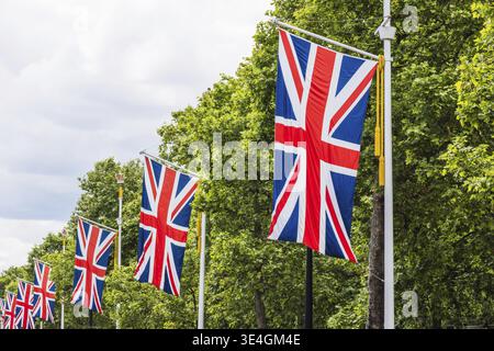 Eine Reihe von Union Jack Flaggen an den Straßenlaternen entlang der Mall in London, mit grünen Bäumen und bewölktem Himmel Stockfoto
