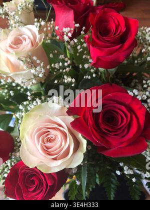 Pink und Red Roses Nahaufnahme Stockfoto