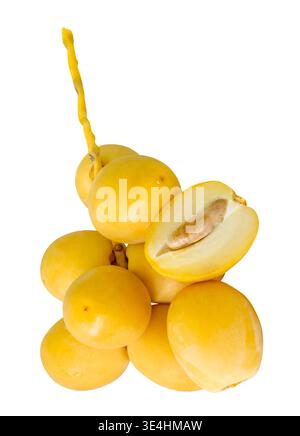 Frisch reife gelbe Barhi Dattelpalmfrüchte in einem kleinen Bündel mit einem halben Stapel sind auf weißem Hintergrund mit Schnittpfad isoliert. Das Konzept von iftar Stockfoto
