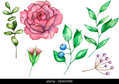 Handgemalte Aquarellflorale Elemente Kollektion mit rosa Rose, Blättern, Beeren und botanischen Zweigen isoliert auf hellem Hintergrund Stockfoto