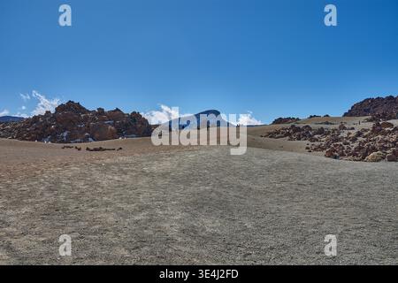 Teide, Teneriffa, 13. Januar 2026, Eine Gruppe von Besuchern spaziert entlang der Wege von ockerem Sand und Basaltfelsen, die sich am Fuße des imposanten Mo erstrecken Stockfoto