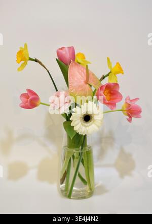 Ein wunderschöner Strauß aus Tulpen, Narzissen, Gerberas, Anthurien und Ranunkeln. Der Blumenstrauß ist in einer Glasvase auf weißem Hintergrund. Stockfoto