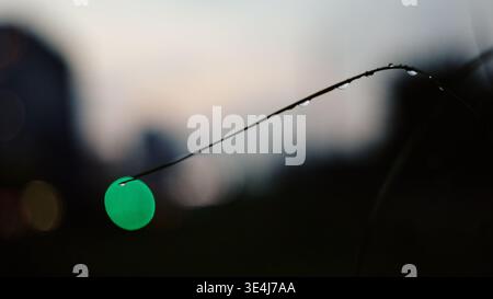 Nahaufnahme von Regentropfen, die sich in der Abenddämmerung an einem dünnen Draht Klammern, mit einem sanften grünen Bokeh-Licht und Stadtformen im Hintergrund. Geringe Tiefe und dezente Motio Stockfoto