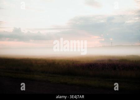 Sanftes Sonnenaufgangslicht über einer breiten ländlichen Wiese, umgeben von niedrigem Nebel, mit fernem Horizont und Wolken. Dunkler Vordergrund zeigt Bewegungsunschärfe, was auf Bewegungsunschärfe hindeutet Stockfoto