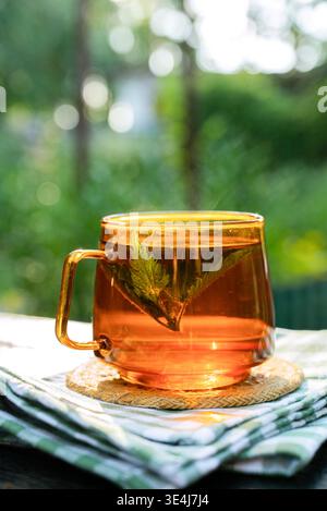 Warmer Kräuter-Detox-Tee in einem klaren Glasbecher mit frischer Pfefferminze, im Freien bei weichem Sonnenlicht. Beruhigendes Naturpflegekonzept für Wellness, Harnwege Su Stockfoto