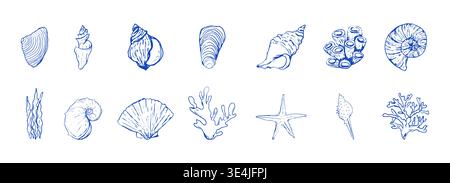 Blaue Muscheln und Seesterne zeichnen handgezeichnete Illustrationen, Küstenillustration. Minimalistische Strichkunst. Designelemente für den Sommerurlaub für trendige Prints. Vektorabbildung Stock Vektor