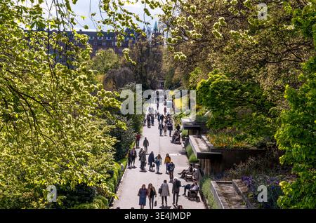 Fußgänger spazieren und entspannen entlang einer von Bäumen gesäumten Promenade in Princes Street Gardens, Edinburgh, und genießen Frühlingssonnenlicht, grünes Laub und urige Stockfoto