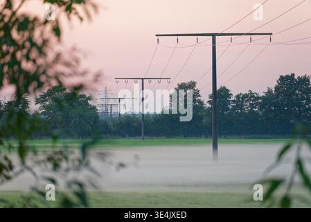 Eine ruhige ländliche Landschaft mit Strommasten und Drähten, die sich über grüne Felder erstrecken, die im Morgennebel unter einem weichen, pastellfarbenen Himmel bei Sonnenaufgang bedeckt sind. Stockfoto