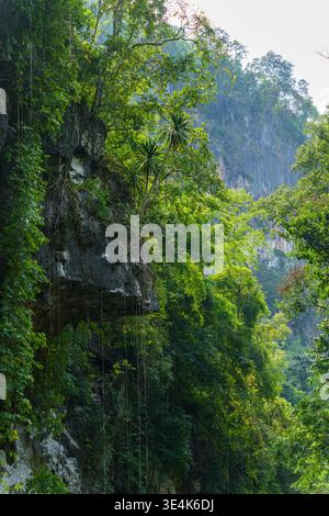 Kwai Yae River, Thailand – 25. November 2024: Eine überhängende Kalksteinklippe ist umgeben von dichter tropischer Vegetation in einem bewaldeten Flusstal. Stockfoto