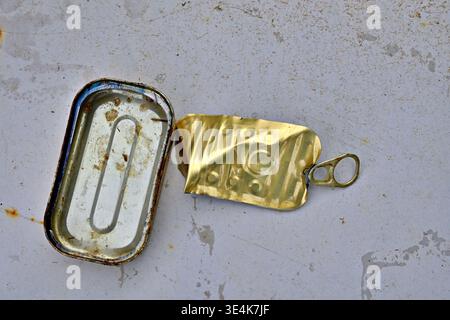 Leere rechteckige Sardinendose aus Zinn mit abgeschältem Deckel auf dem Boden Stockfoto