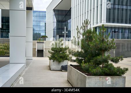 Moderner architektonischer Komplex mit modernen Gebäuden mit weitläufigen Glasvorhängen und weißen linearen Strukturelementen. Vordergrund Stockfoto