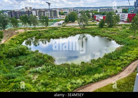 Blick aus der Vogelperspektive auf einen kleinen ovalförmigen Teich, umgeben von üppiger grüner Vegetation und wilden Gräsern, in einem städtischen Wohngebiet. Das ruhige Wasser Stockfoto