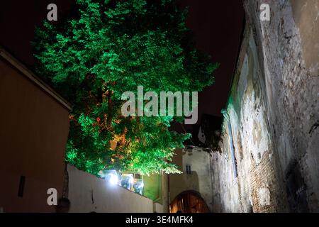 Nächtliches Foto einer engen Gasse zwischen historischen Steinhäusern mit einem großen Baum, der dramatisch beleuchtet ist und von einer lebhaften grünen Beleuchtung umgeben ist. Stockfoto