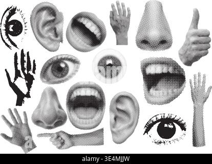 Eine grafische Collage mit verschiedenen menschlichen Körperteilen wie Augen, Ohren, Nasen, Mündern und Händen, in Schwarzweiß-Halbton gerendert und erstellt Stock Vektor