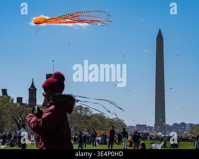 Washington, Usa. März 2026. Während des Blossom Kite Festivals 2026 in der National Mall in Washington fliegen Drachen vor dem Washington Monument. Quelle: SOPA Images Limited/Alamy Live News Stockfoto