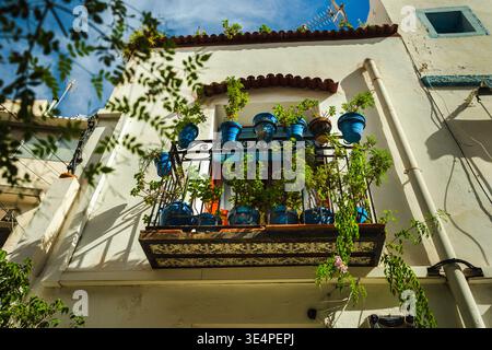 Malerischer mediterraner Balkon mit blauen Blumentöpfen und üppigen grünen Pflanzen an einer weißen Fassade in der Altstadt von Alicante, Spanien. Stockfoto