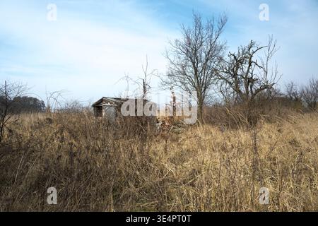 Altes Haus, ruinierte und verlassene Hütte in den Büschen. Stockfoto