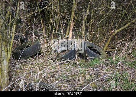 Alte Reifen, die im Wald entsorgt werden, Umweltverschmutzung durch menschliche Abfälle. Stockfoto