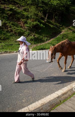 Die Frau läuft neben dem Pferd auf einer asphaltierten Straße. Pferd grast ruhig neben ihr. Grüne Hügel erheben sich sanft hinter ihnen. Das Sonnenlicht leuchtet warm auf den Tatort. Natur Stockfoto