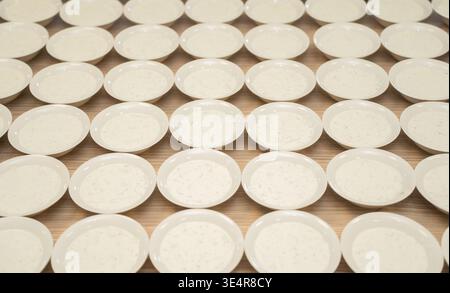 Eine große Menge cremiger Suppe auf weißen Tellern in der Cafeteria auf der Arbeit oder in der Schule. Stockfoto