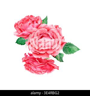 Botanisches Blumenstrauß mit drei geöffneten roten Rosen. Ein detailliertes handgemaltes Blumenarrangement mit grünen Blättern auf weißem Hintergrund, für Weddin Stockfoto