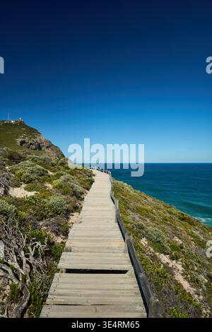 Der Rustikale Boardwalk Schlängelt Sich Durch Die Küstenflora Und Bietet Eine Malerische Aussicht Für Outdoor-Enthusiasten Stockfoto