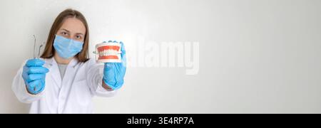 Zahnarzt im anatomischen Kiefermodell mit Maskenhalter und professionellen zahnärztlichen Werkzeugen Stockfoto