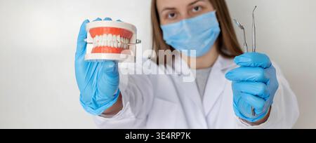 Zahnarzt im anatomischen Kiefermodell mit Maskenhalter und professionellen zahnärztlichen Werkzeugen Stockfoto