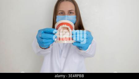 Zahnärztin, die ein anatomisches Kiefermodell mit geraden Zähnen vor ihr hält Stockfoto