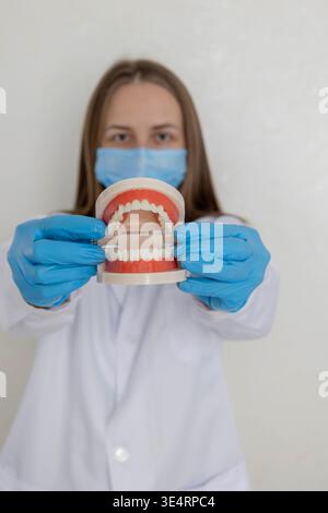 Zahnärztin, die ein anatomisches Kiefermodell mit geraden Zähnen vor ihr hält Stockfoto