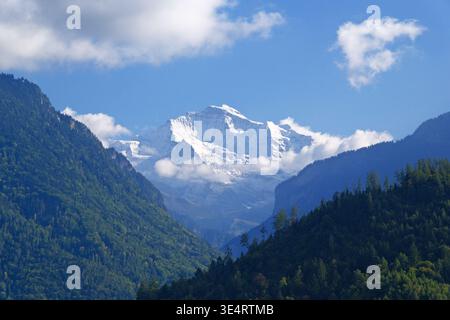 Panoramablick auf den Jungfrau Gipfel in der Schweiz, dunkelgrüne bewaldete Täler und weißen, schneebedeckten Gipfel Stockfoto