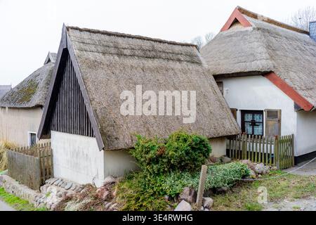 Historische Häuser im Dorf Vitt (Rügen) Stockfoto