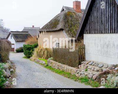 Historische Häuser im Dorf Vitt (Rügen) Stockfoto