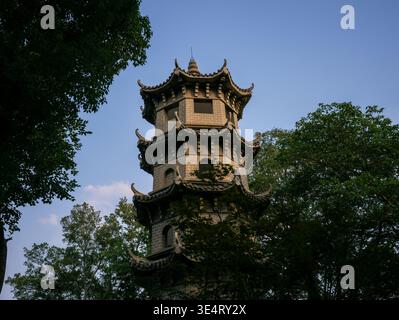 Blick auf eine mehrstöckige traditionelle chinesische Steinpagode, wunderschön eingerahmt von dunklen Silhouettenbäumen vor einem klaren blauen Himmel. Die s Stockfoto
