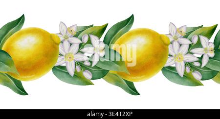 Nahtloser Aquarellrand mit Zitrone. Zitronenbaumzweige mit Blättern, Früchten und Blumen. Banner mit tropischen Zitrusfrüchten. Design für Küchen te Stockfoto
