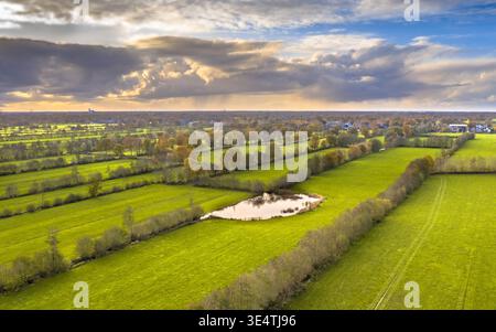 Drohne der Polderlandschaft in der Nähe von Oudega, Friesland, Niederlande. Niedrige goldene Sonnenlichthaare über lebendige grüne Felder, die durch Herbstreihen geteilt sind Stockfoto