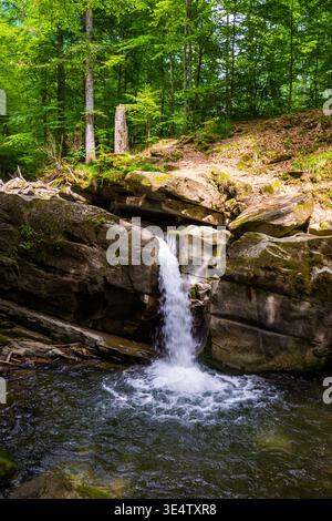 Landschaft mit kleinem Wasserfall umgeben von Buchenwald an einem Sommertag. Steine mit Moos im verfleckten Licht. Unberührte Naturlandschaft auf dem Turych Stockfoto