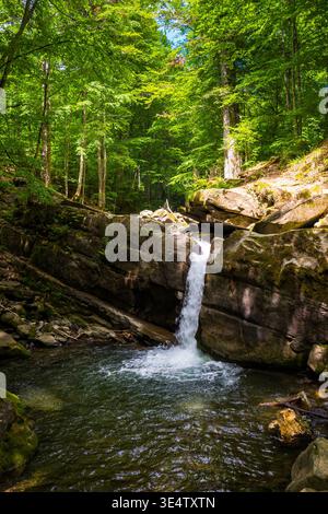 Landschaft mit kleinem Wasserfall umgeben von Buchenwald an einem Sommertag. Steine mit Moos im verfleckten Licht. Unberührte Naturlandschaft auf dem Turych Stockfoto